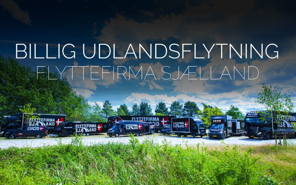 Flyttefirmaet cover Billig Udlandsflytning