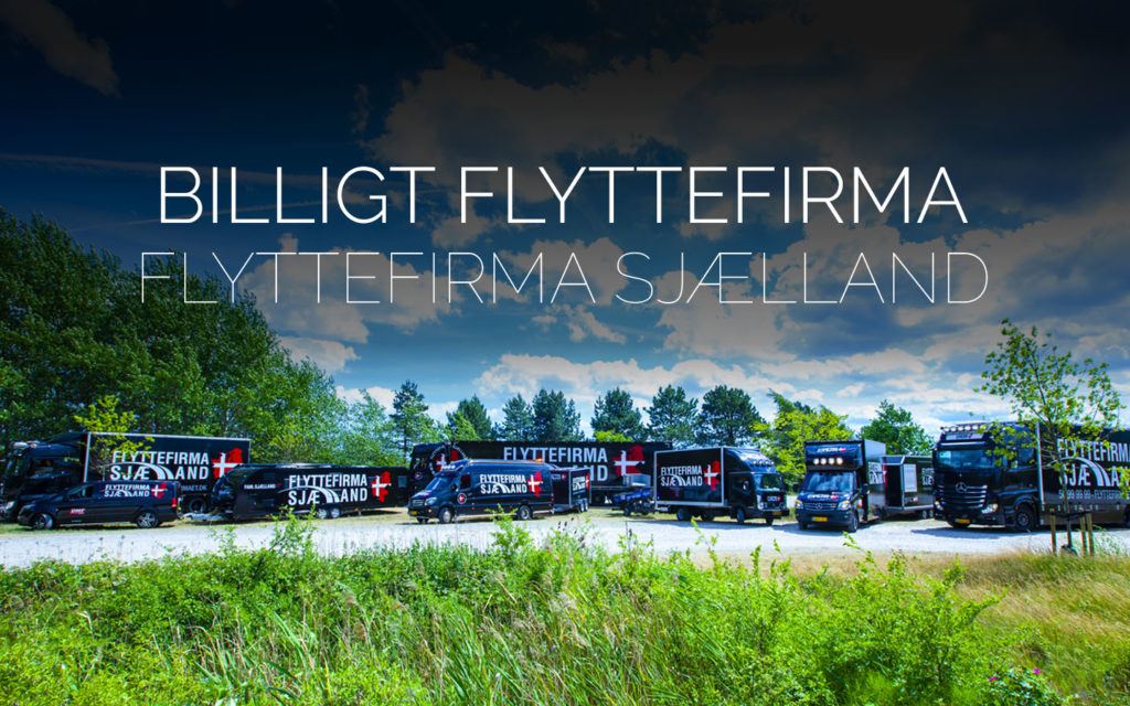 Flyttefirmaet cover billigt flyttefirma