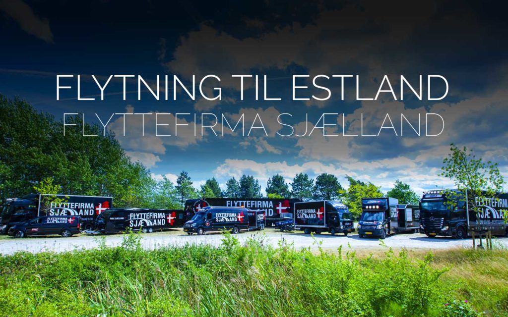 Flyttefirmaet cover Flytning til estland