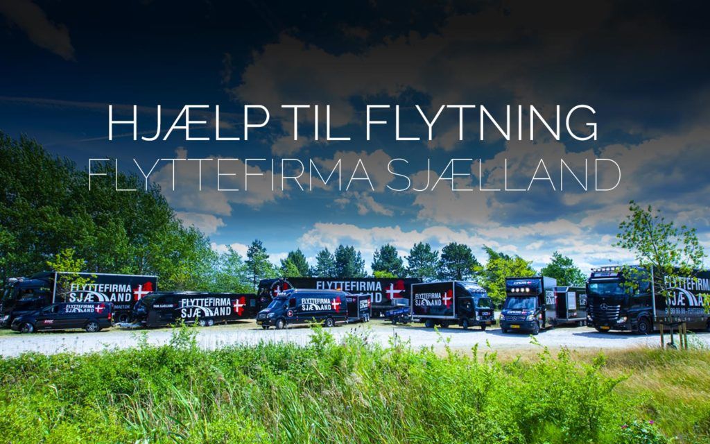 Flyttefirmaet cover hjælp til flytning