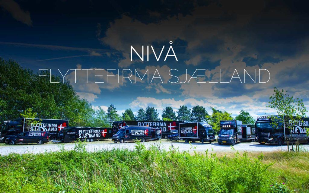 Flyttefirmaet cover nivå