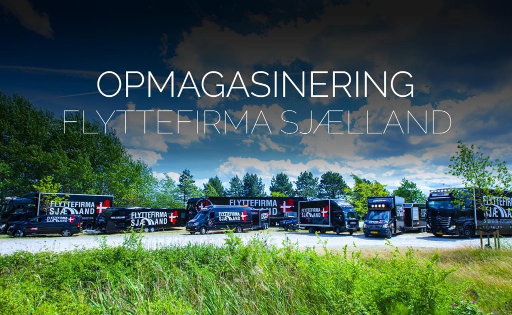 Flyttefirmaet cover opmagasinering